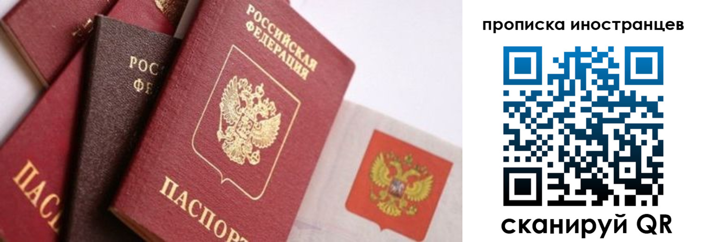 регистрация для школы в Елизово